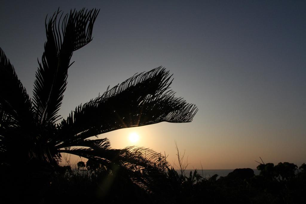 فندق Joya Ishigaki  المظهر الخارجي الصورة